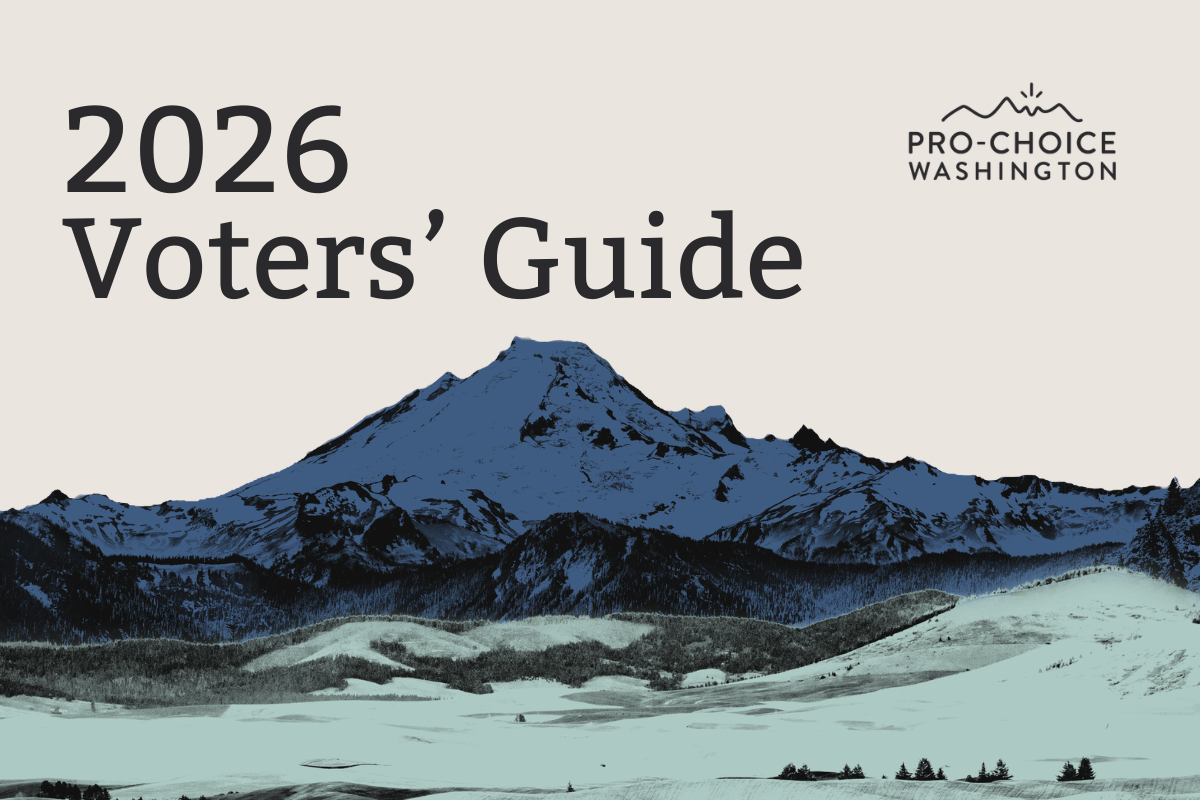 Graphic of two mountains in blue and green with words 2026 Voters' Guide across the top